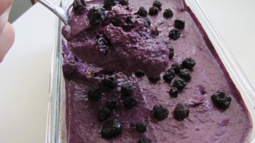 bluberry_dessert4